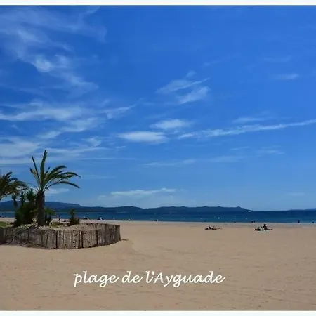 Camping Les Palmiers 4**** Кемпинг